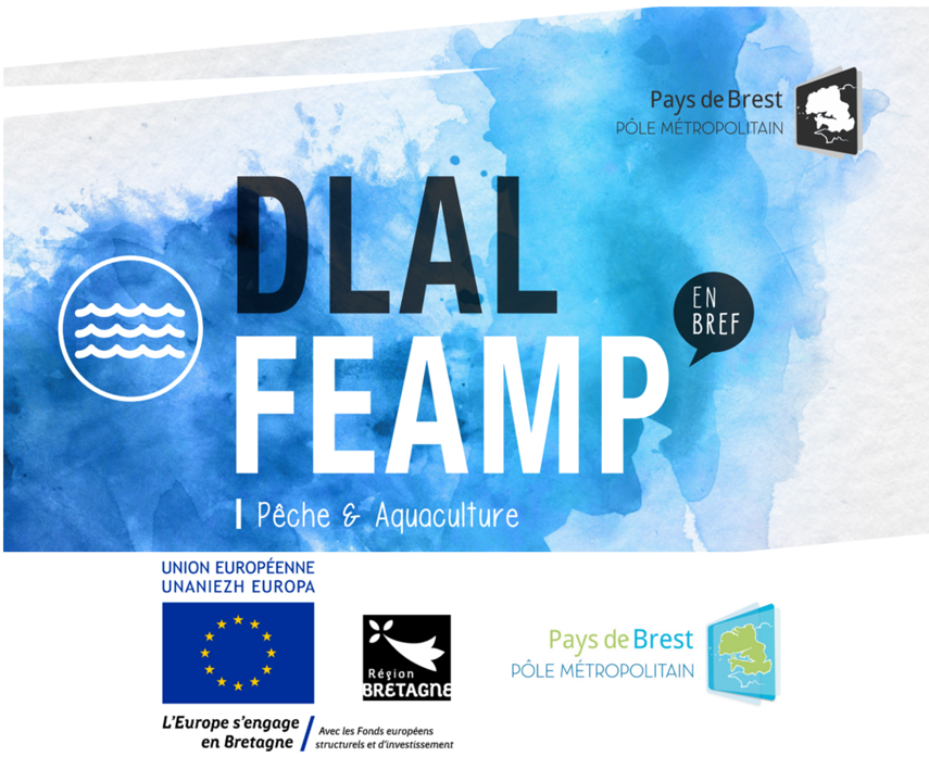 Evaluation de la programmation DLAL-FEAMP 2015-2021 du Pays de Brest